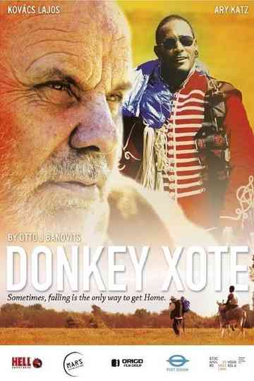 Donkey Xote Poster