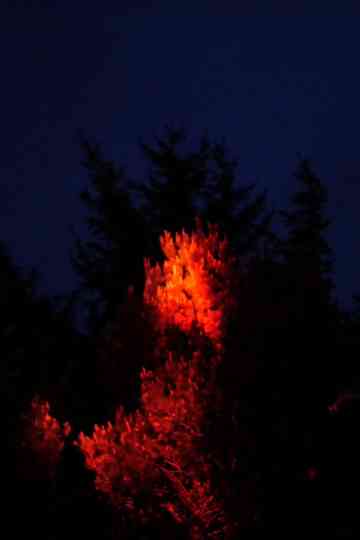 I'll Remember You as You Were, Not as What You'll Become Poster