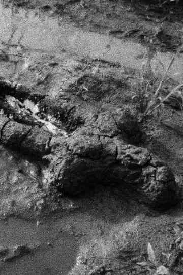 Birth (Gunpowder Works) Poster