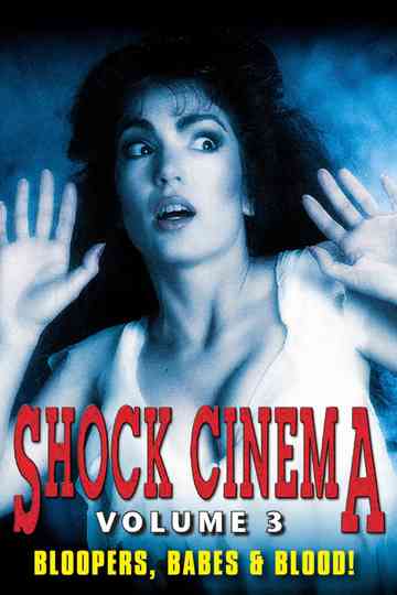 Shock Cinema Volume Three poster