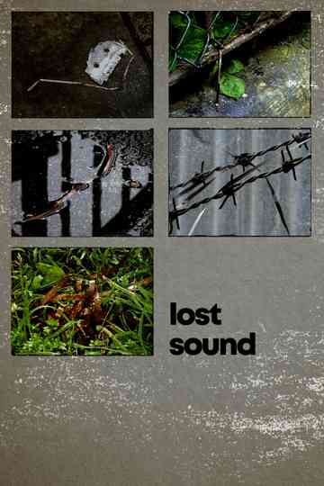 Lost Sound Poster