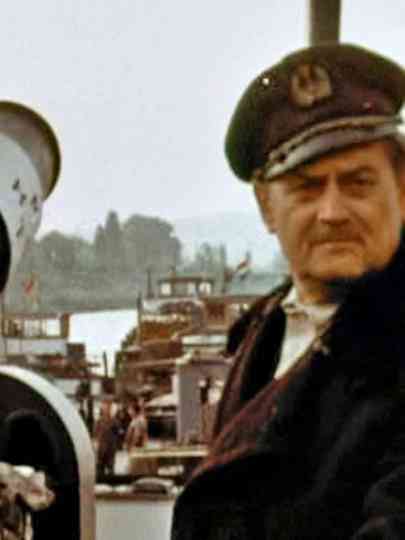 Up the Danube Poster