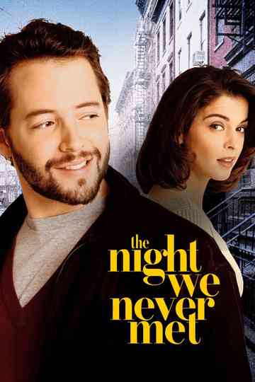 The Night We Never Met Poster