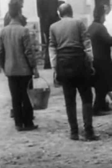 A Veterinary Station Poster