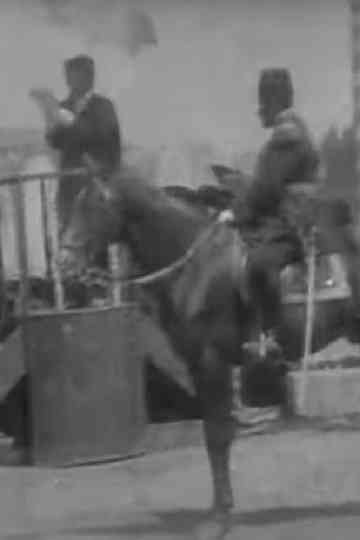 Turks' Hearing Speech on Hürriyet Poster