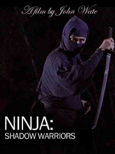 Ninja Shadow Warriors Poster