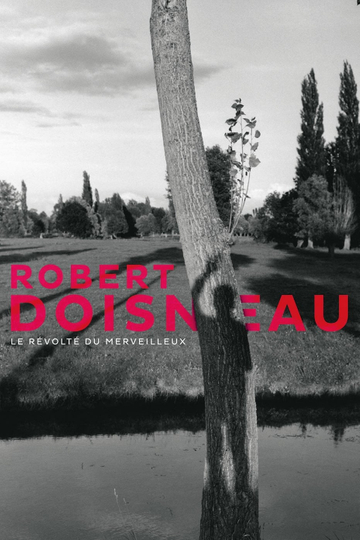 Robert Doisneau Through the Lens Poster