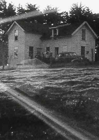 Have You Thought of Talking to the Director Poster