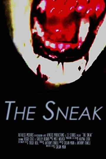 The Sneak Poster