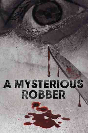 A Mysterious Robber Poster
