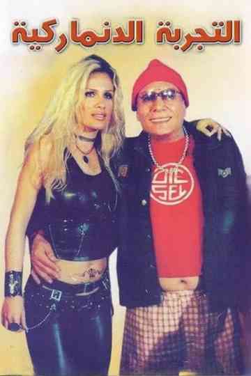 The Danish Experience Poster