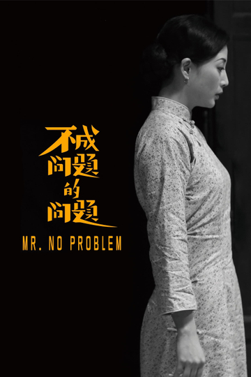 Mr No Problem