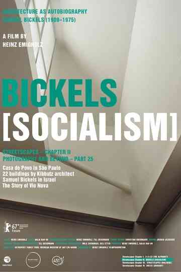 Bickels Socialism Poster