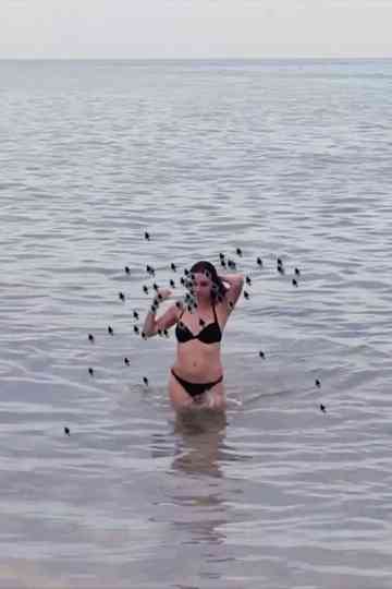 Hot Beach Babe Aims to Please Poster