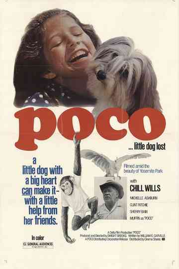 Poco Little Dog Lost Poster