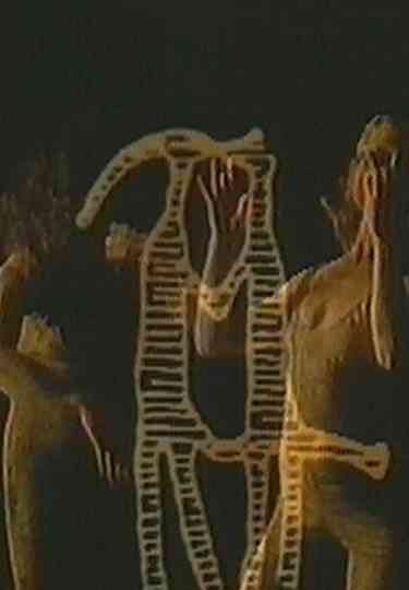 The Duality of Nature Poster