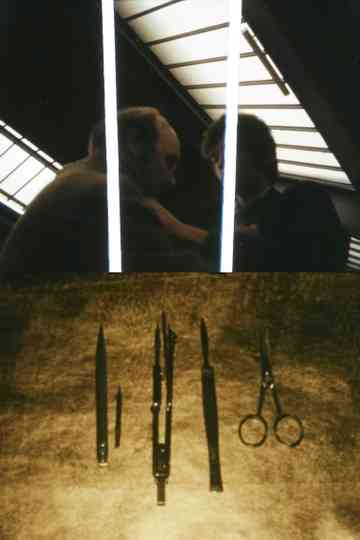 The Count of Days poster