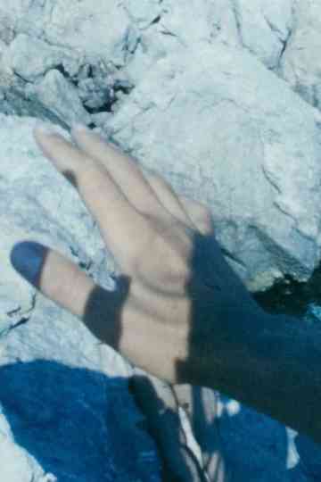 Winged Dialogue poster