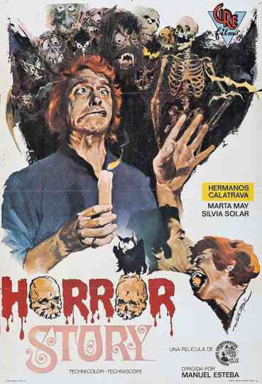 Horror Story Poster