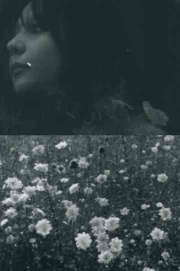 C - The House of Fire Poster