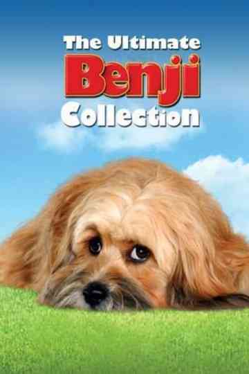 The Benji Collection Poster