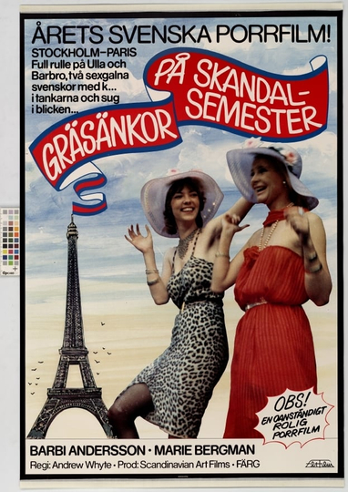 Crazy Swedish Holidays in Paris Poster