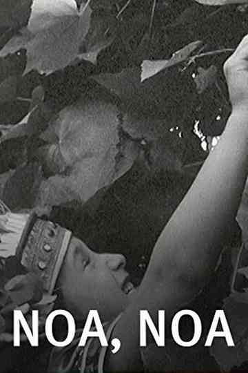 Noa Noa Poster