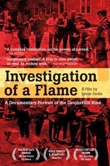 Investigation of a Flame Poster