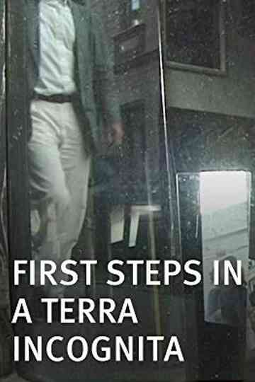 First Steps in a Terra Incognita Poster