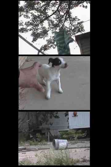 Weather Diary 6 Poster