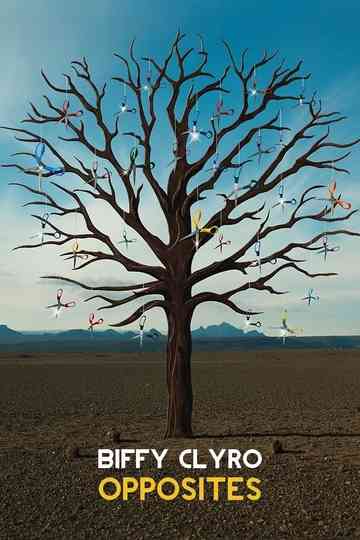 Biffy Clyro Opposites Poster