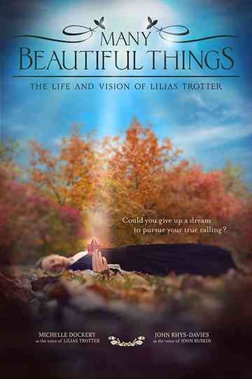 Many Beautiful Things Poster