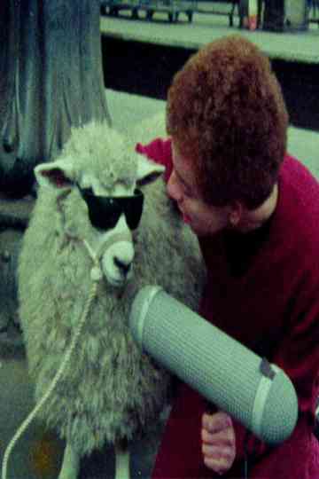 The Punk Kebab Documentary Poster