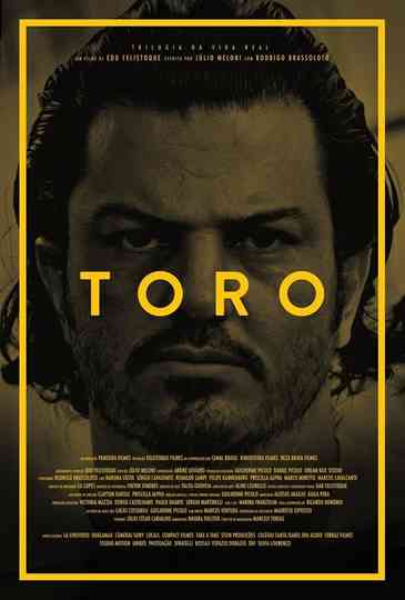 Toro Poster