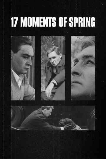 Seventeen Moments of Spring poster