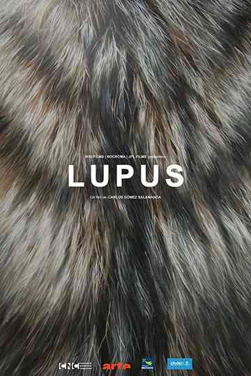 Lupus poster