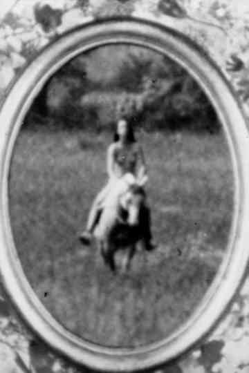 Wildwood Flower Poster