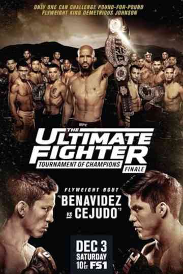 The Ultimate Fighter 24 Finale Poster