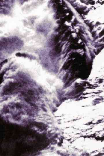 Looking at the Sea Poster