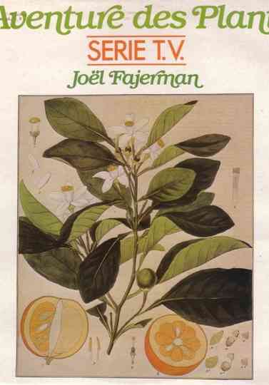 L'Aventure des Plantes Poster