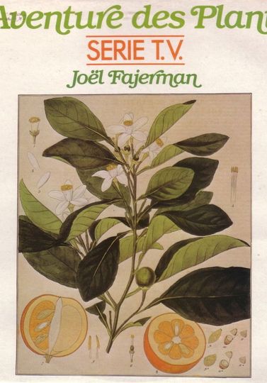 L'Aventure des Plantes