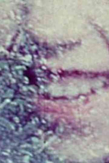 Film Notebook: Part 1 (For Saul) Poster