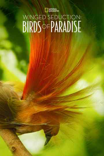 Winged Seduction Birds of Paradise Poster