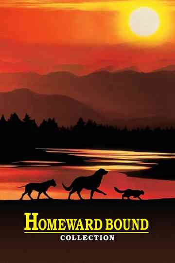 Homeward Bound Collection Poster
