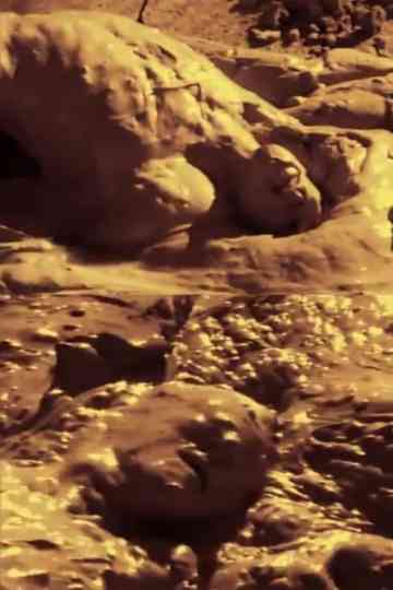 Didier Rousseau, sculptor, performance Poster