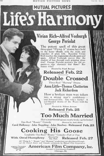 Life's Harmony Poster