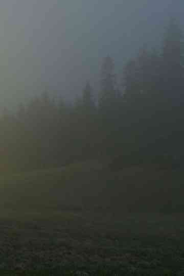 In A Beautiful And Quiet Location Poster