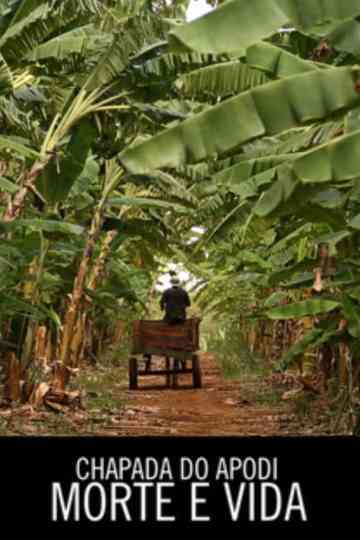 Chapada do Apodi morte e vida Poster