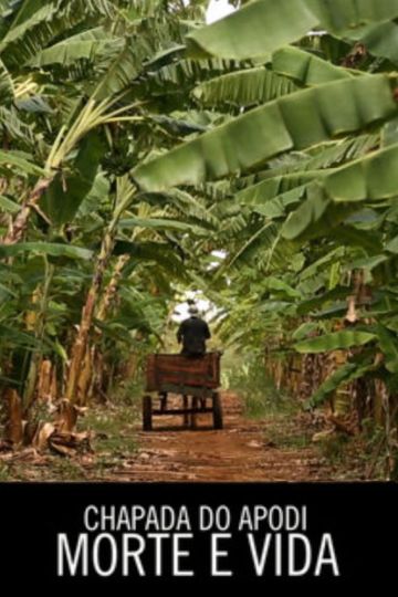 Chapada do Apodi morte e vida
