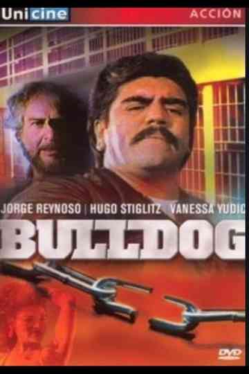 Bulldog Poster